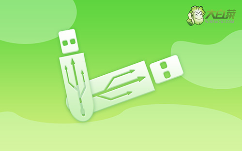 電腦開(kāi)機(jī)怎么進(jìn)入u盤裝系統(tǒng) 電腦開(kāi)不了機(jī)u盤怎么重裝系統(tǒng)